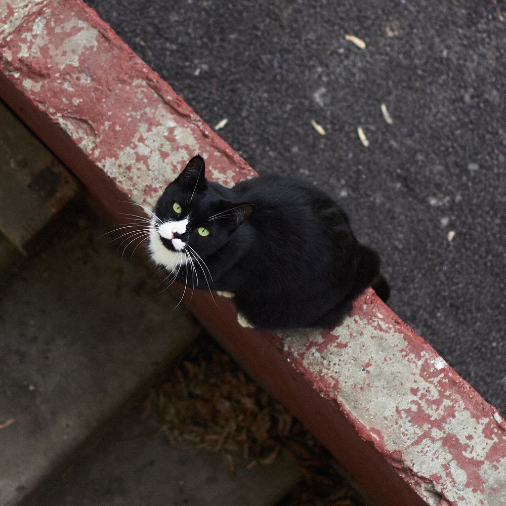 Photograph by Максим Ипантьев