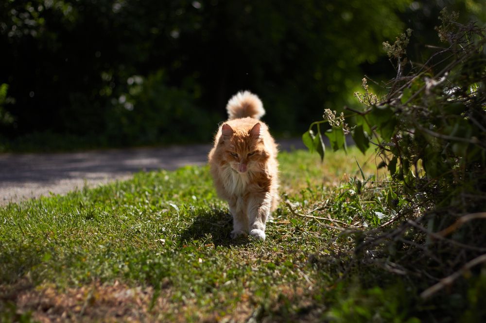 Photograph by Максим Ипантьев