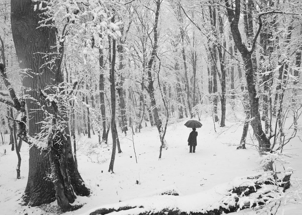 A snowy day