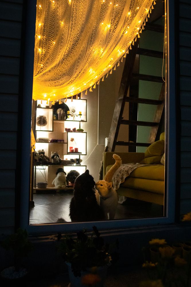 Photograph by Степоненкова Екатерина