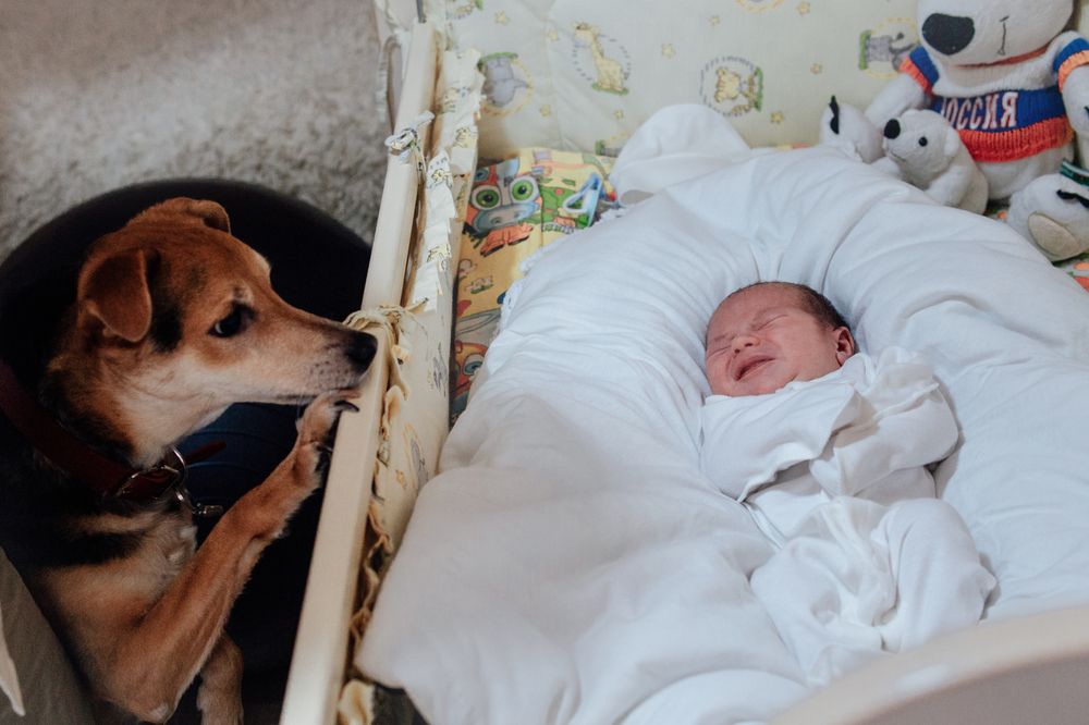 Photograph by Степоненкова Екатерина