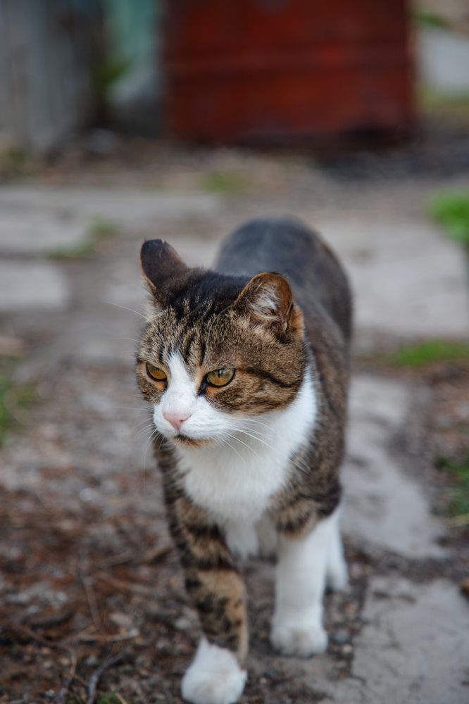 Photograph by дамир чекалин