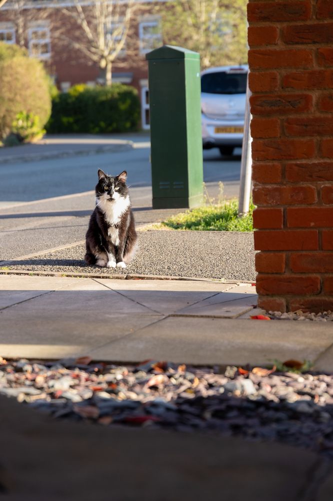 Фотография автора Alexander Pakhomov