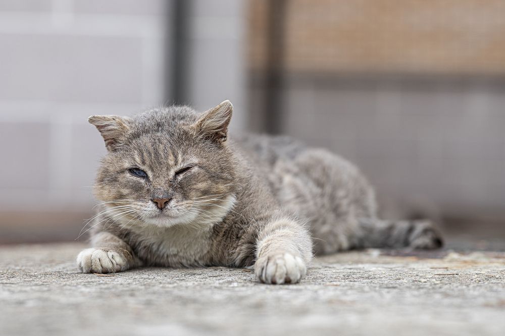 Photograph by Максим Мураков