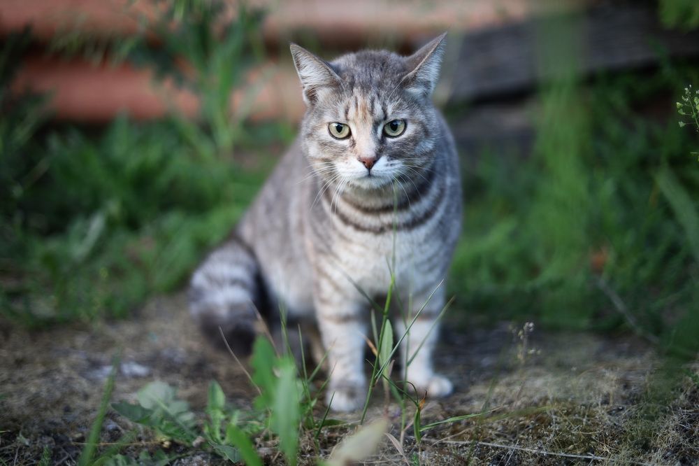 Photograph by Екатерина Горай