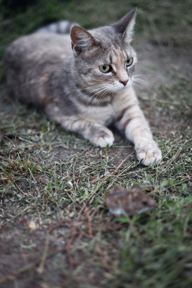 Photograph by Екатерина Горай