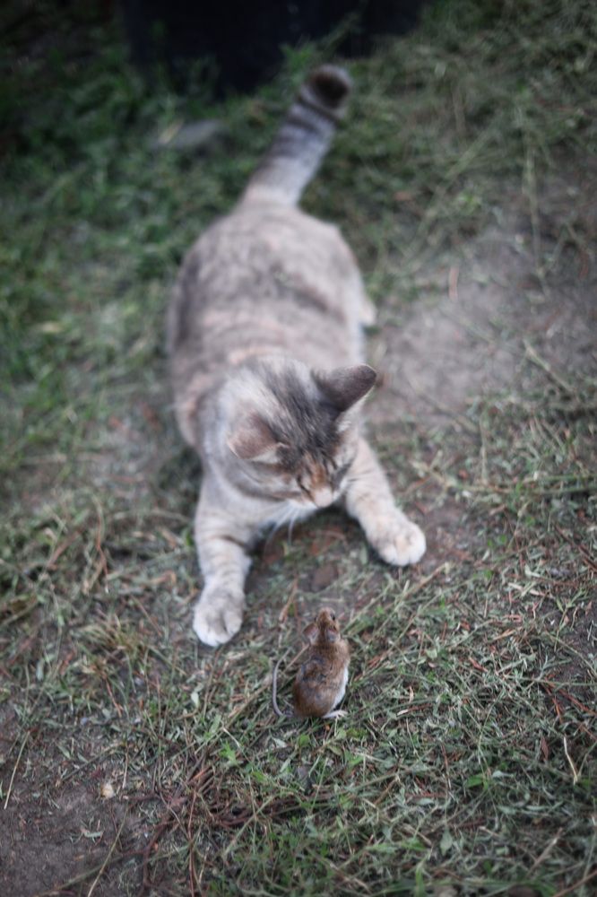 Photograph by Екатерина Горай