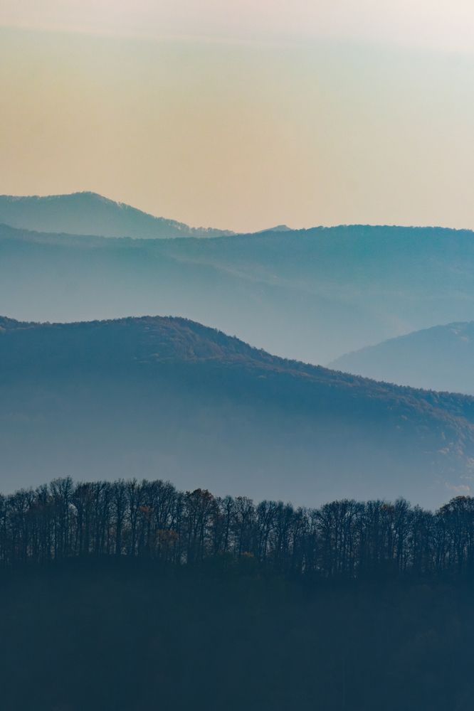 Тени уходящей осени