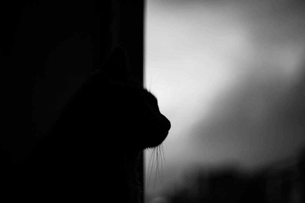 Photograph by Алексей