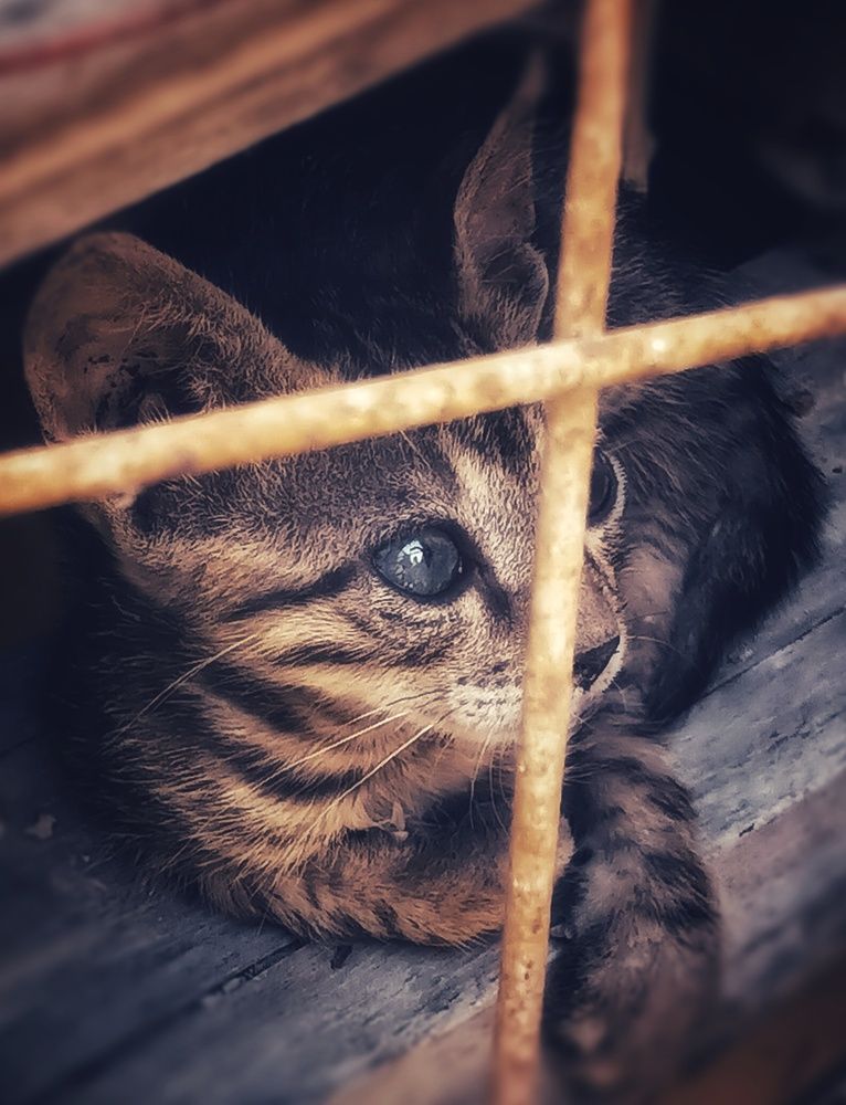 Фотография автора Anwar nour