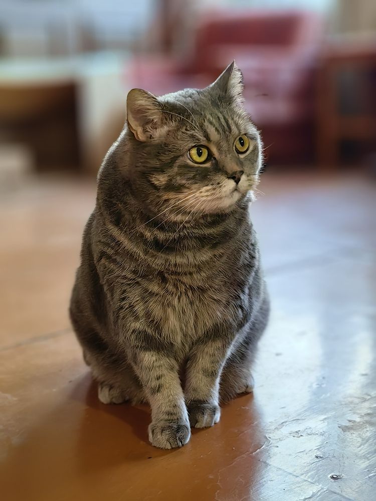 Photograph by Светлана Булыгина