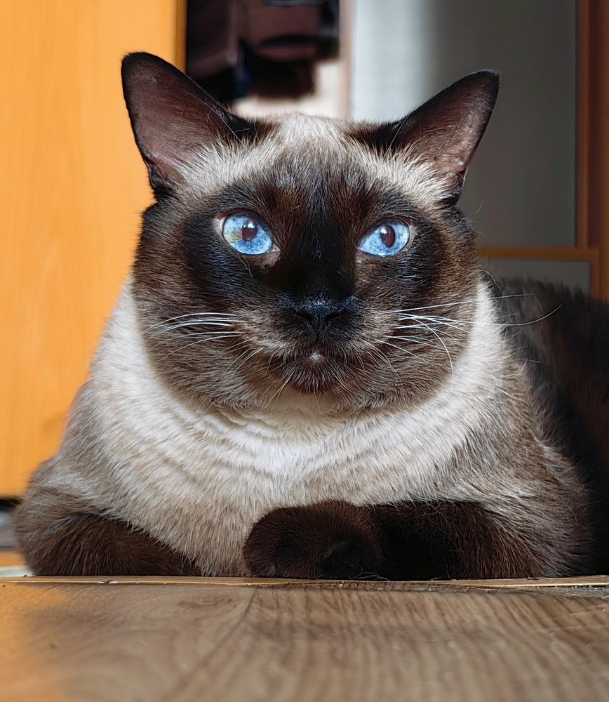 Photograph by Светлана Булыгина