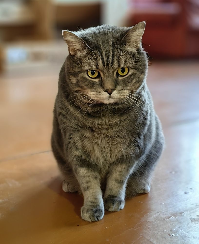 Photograph by Светлана Булыгина