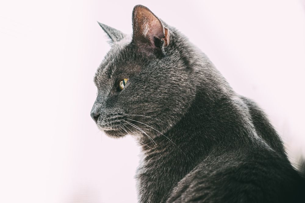 Photograph by Алексей