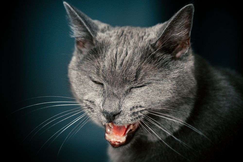 Photograph by Алексей