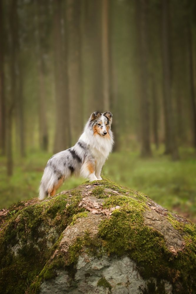 Photograph by Татьяна Григорчак