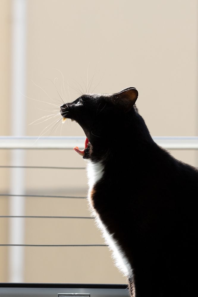 Photograph by Максим Дорошенко