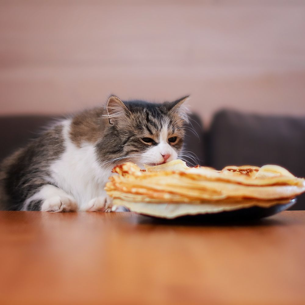 Photograph by Татьяна Григорчак