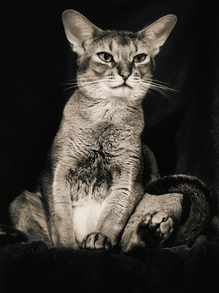 Photograph by OLGA MIKHNEVICH