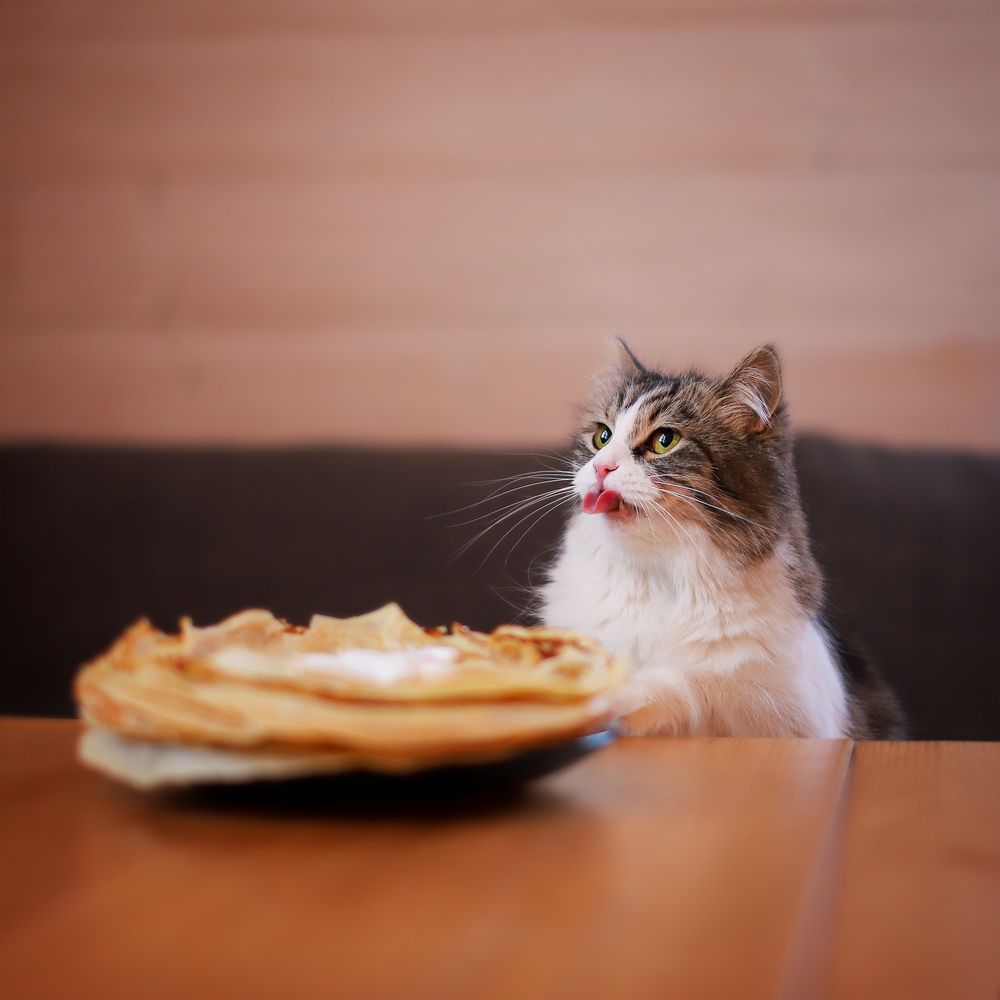 Photograph by Татьяна Григорчак