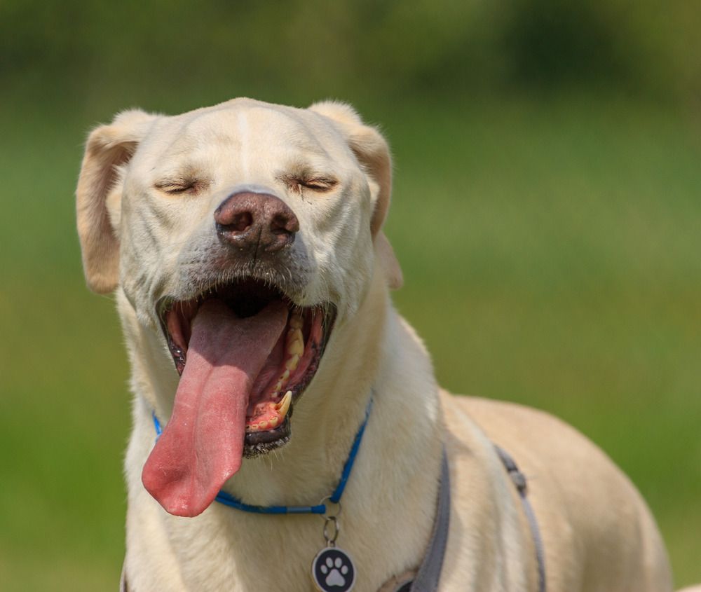 Фотография автора Червяков Григорий