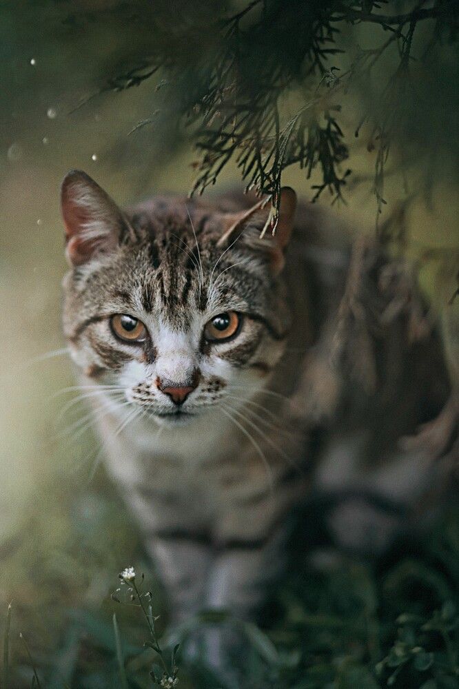 Photograph by Татьяна Максакова