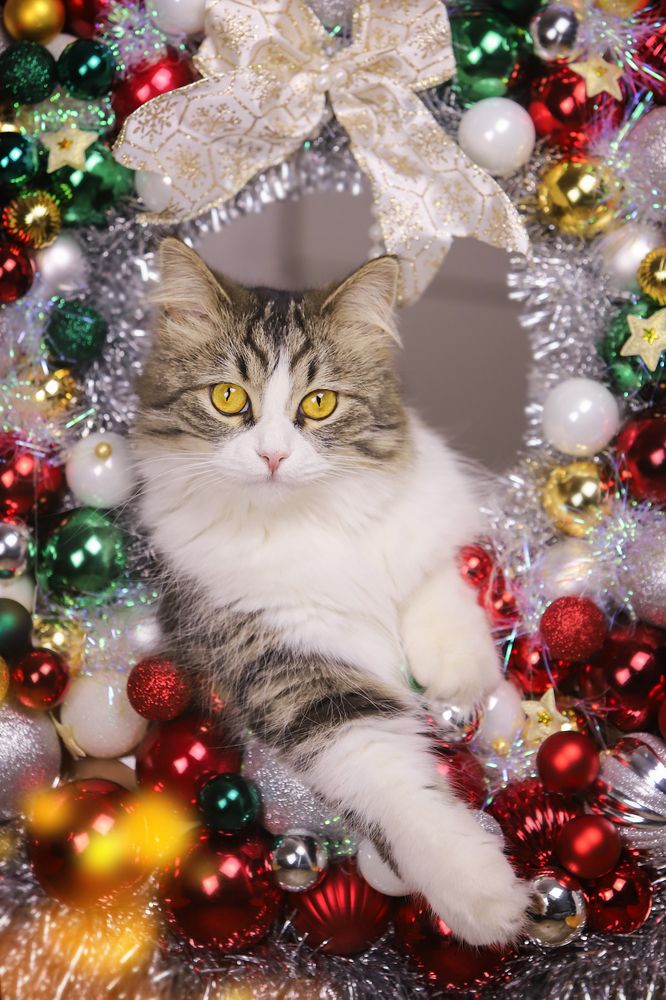 Photograph by Татьяна Григорчак