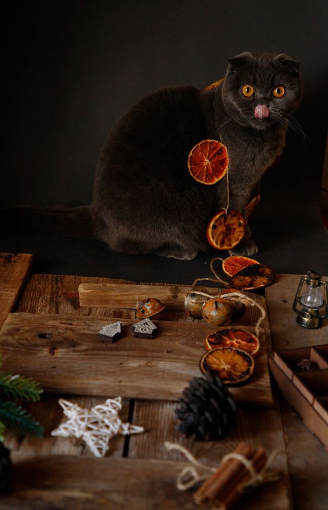 Photograph by Аделина Байбуриева