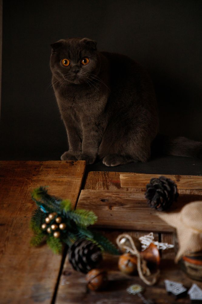 Photograph by Аделина Байбуриева