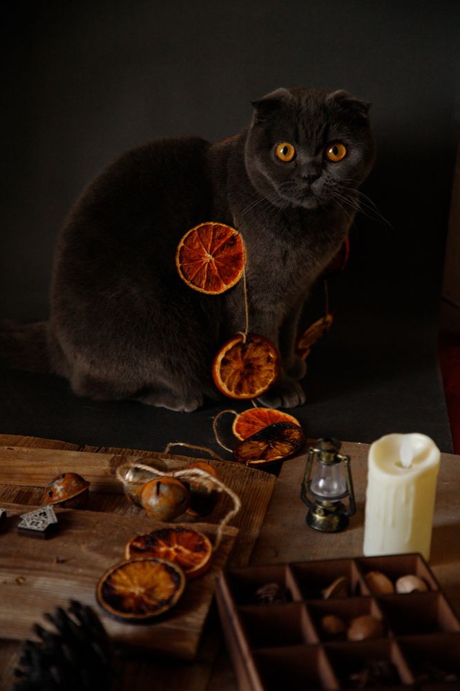 Photograph by Аделина Байбуриева