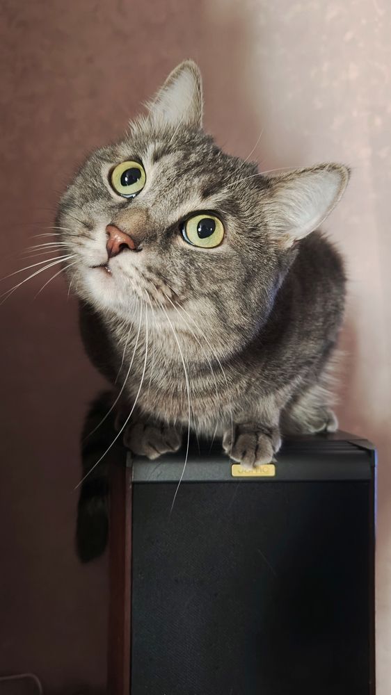 Photograph by Нина Кольман