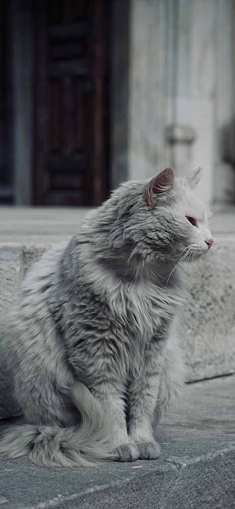 Photograph by Григоренко Семён