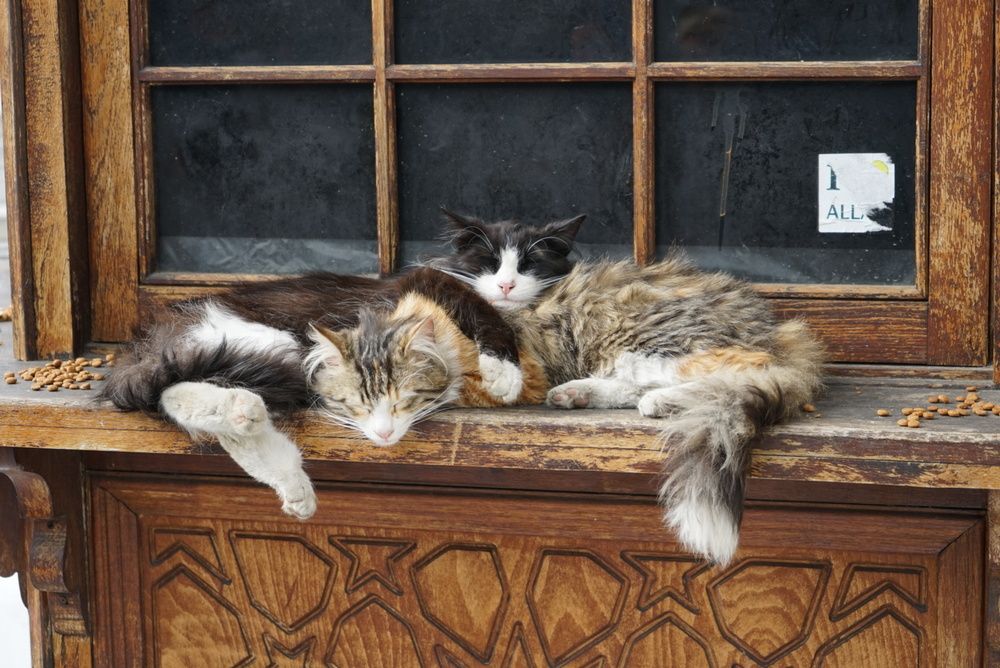 Photograph by Григоренко Семён