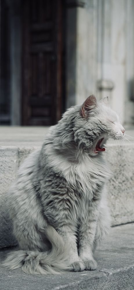 Photograph by Григоренко Семён