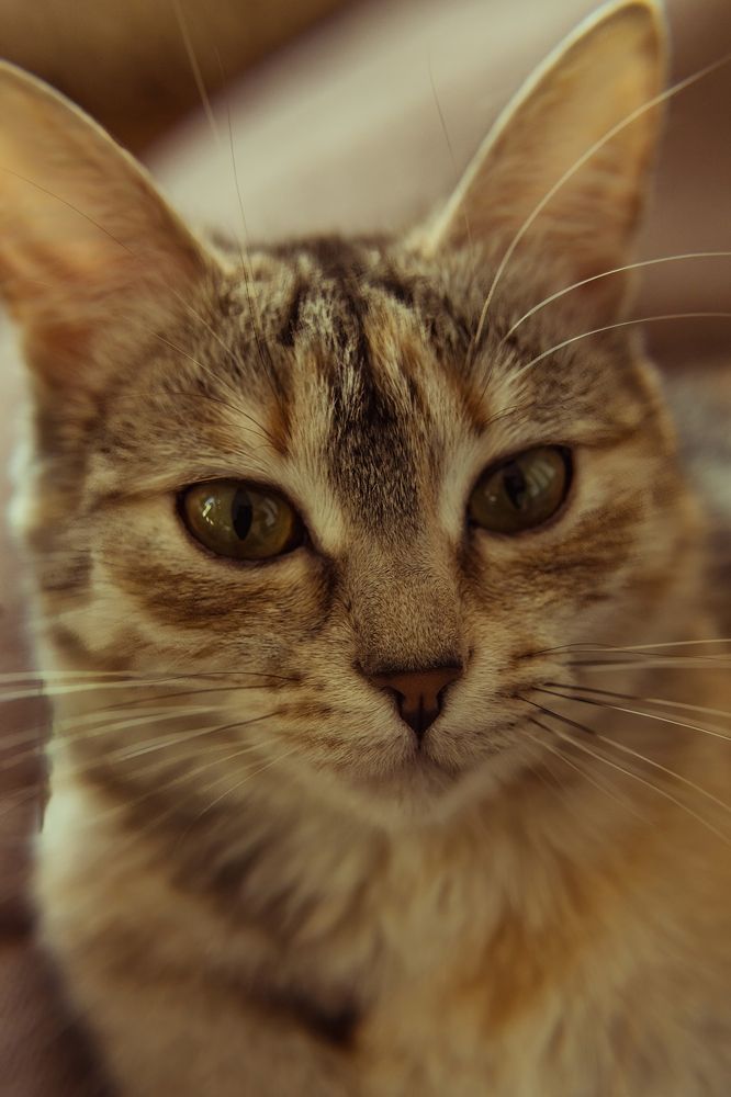 Фотография автора Альбина Кадочникова