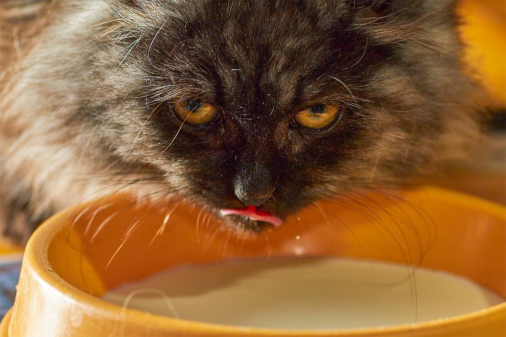 Photograph by Сергей Кириллов