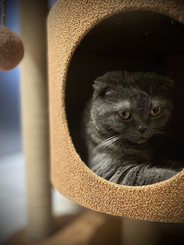 Photograph by Ольга Белоусова