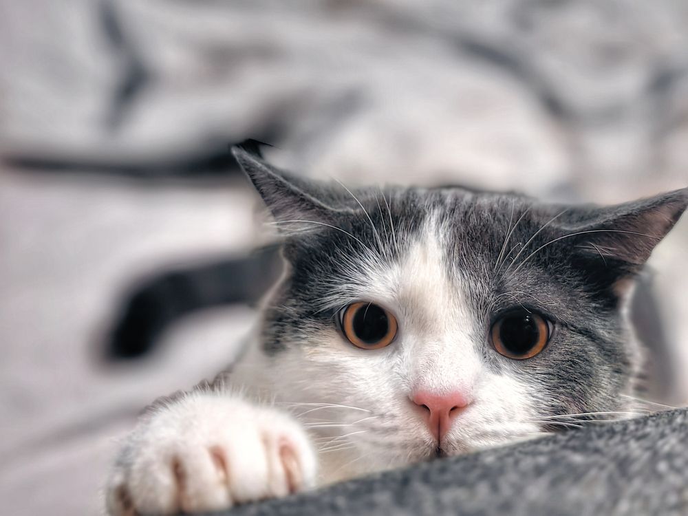 Photograph by OLGA MIKHNEVICH