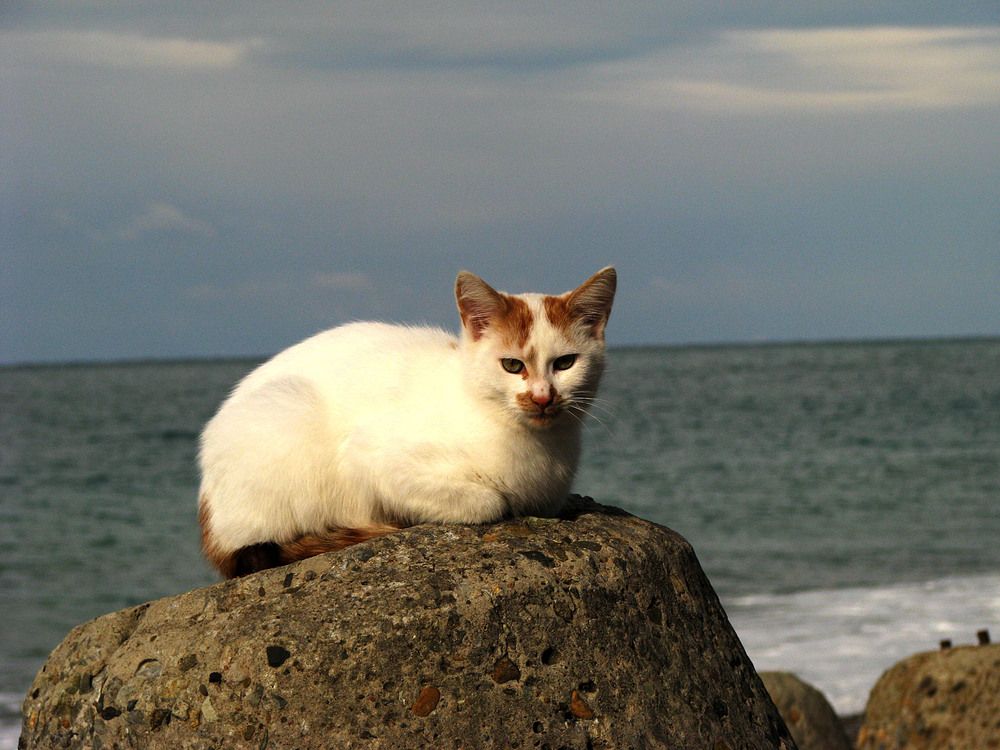 Photograph by Лада Кляузина