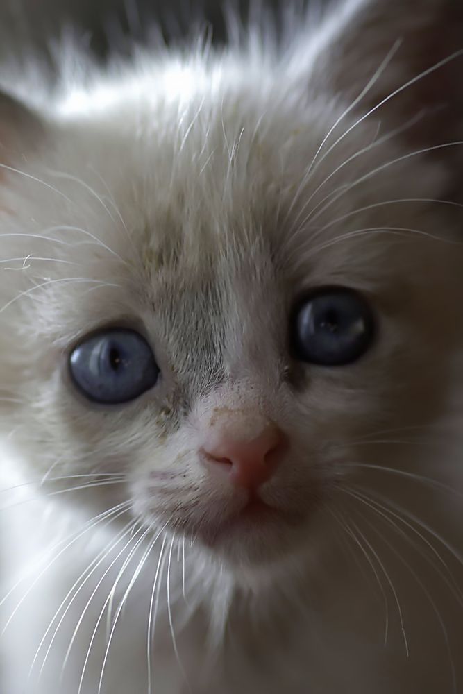 Photograph by Сергей Кириллов