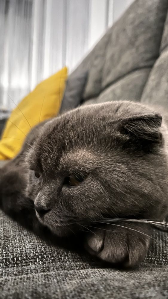 Photograph by Ольга Белоусова