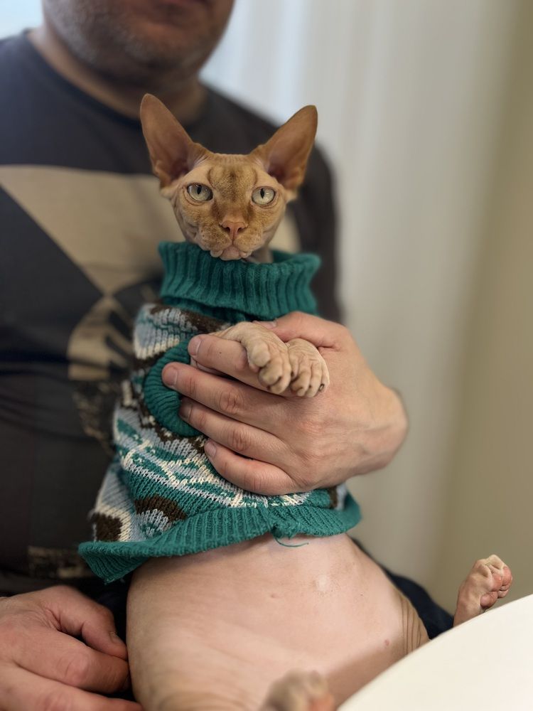 Photograph by Алёна Маринина