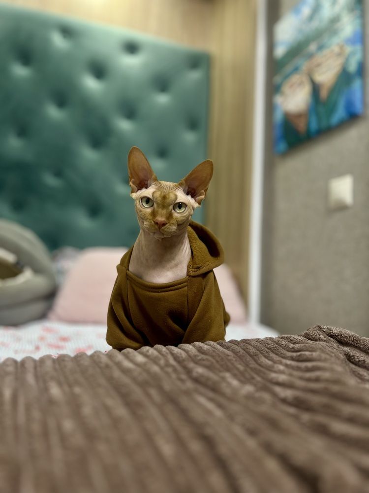 Photograph by Алёна Маринина