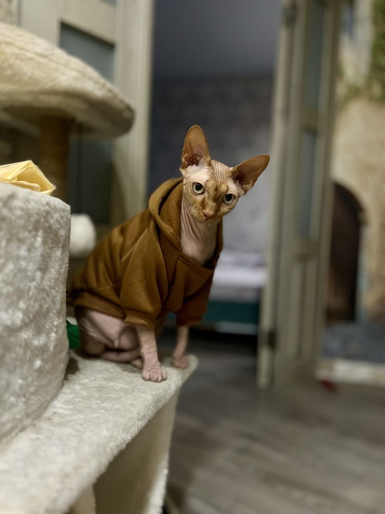 Photograph by Алёна Маринина