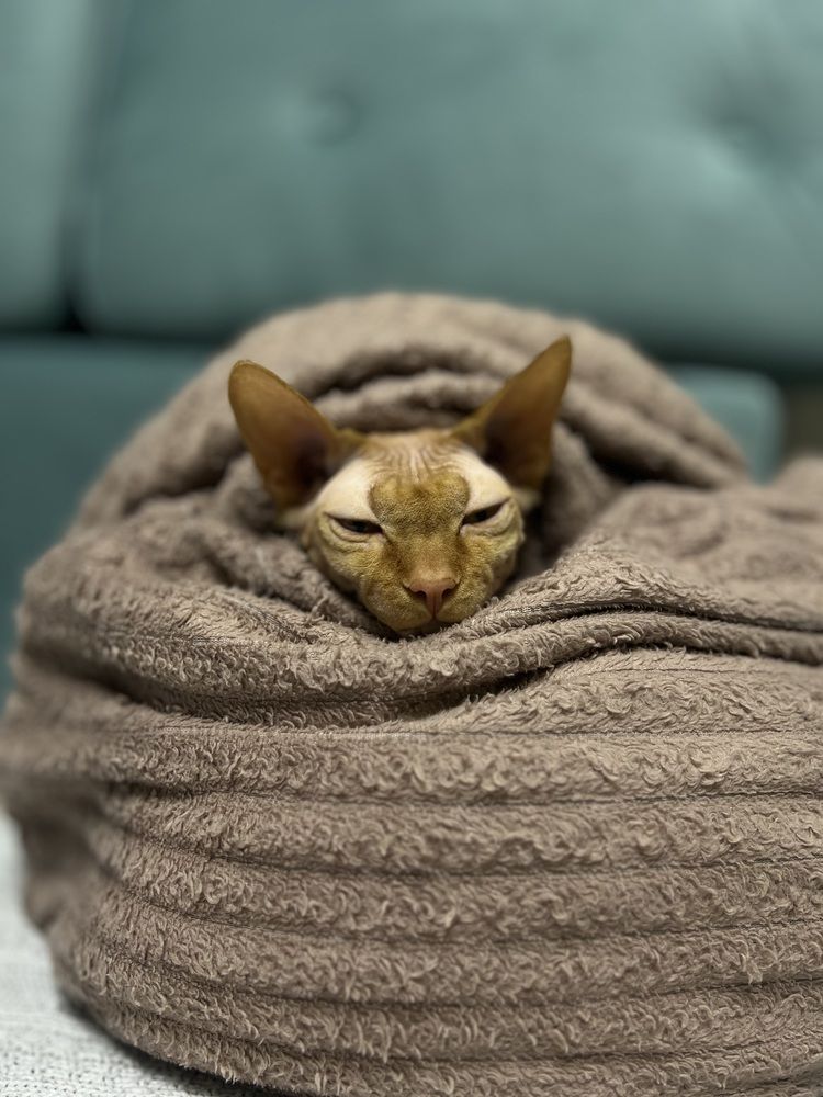 Photograph by Алёна Маринина