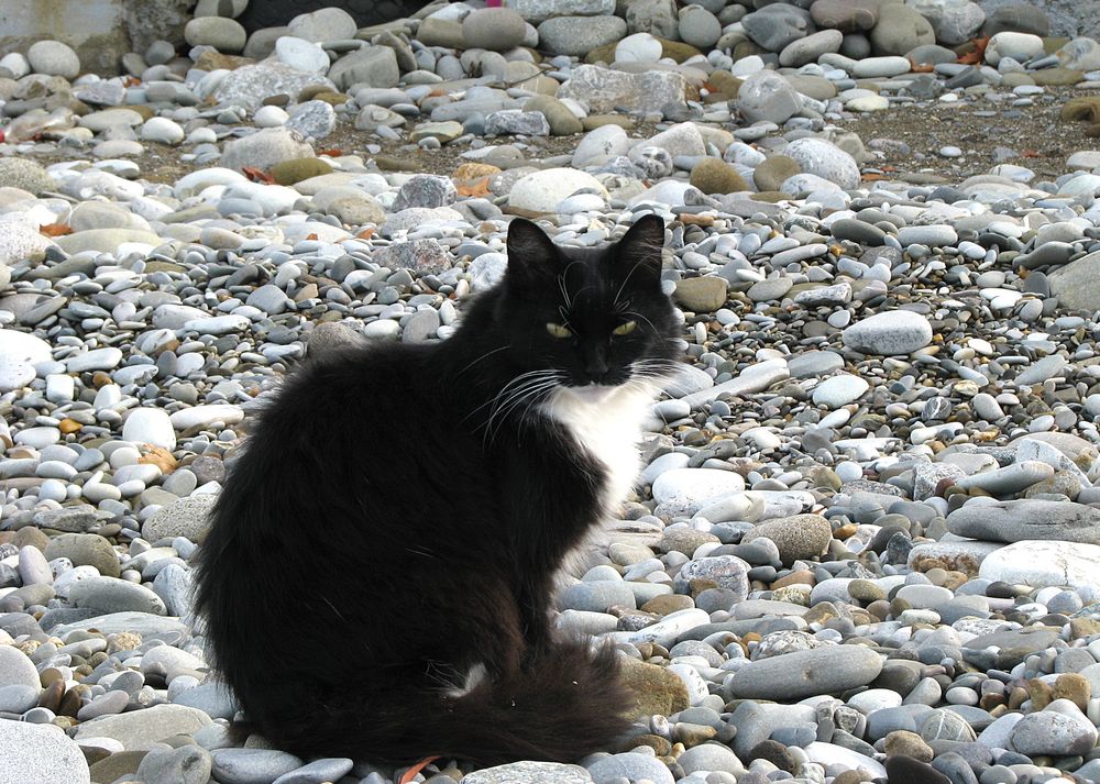 Photograph by Лада Кляузина