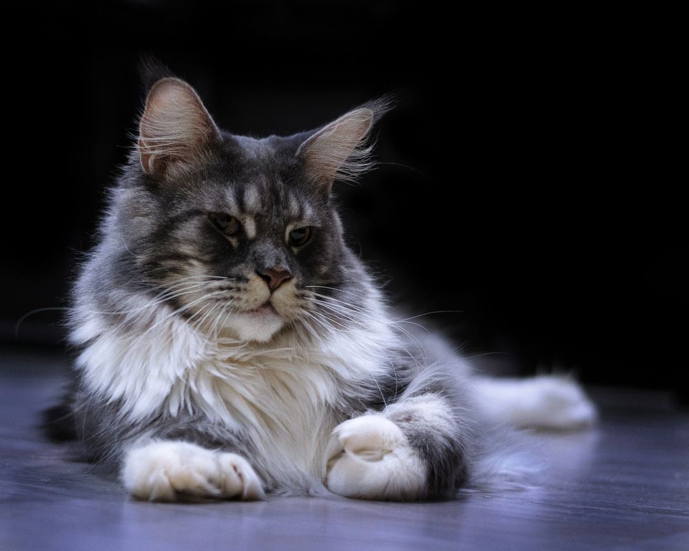 Photograph by Ярослав Бурков