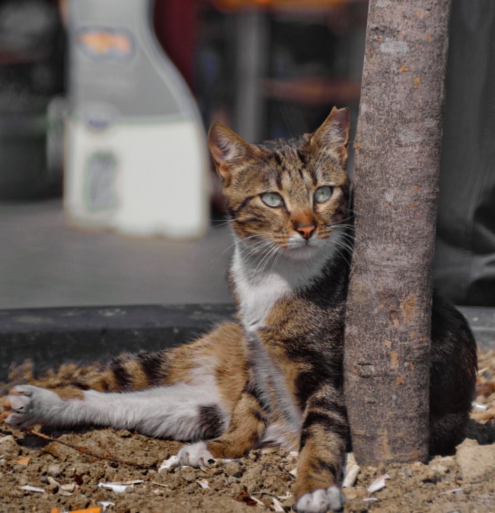 Photograph by Анастасия Смирнова