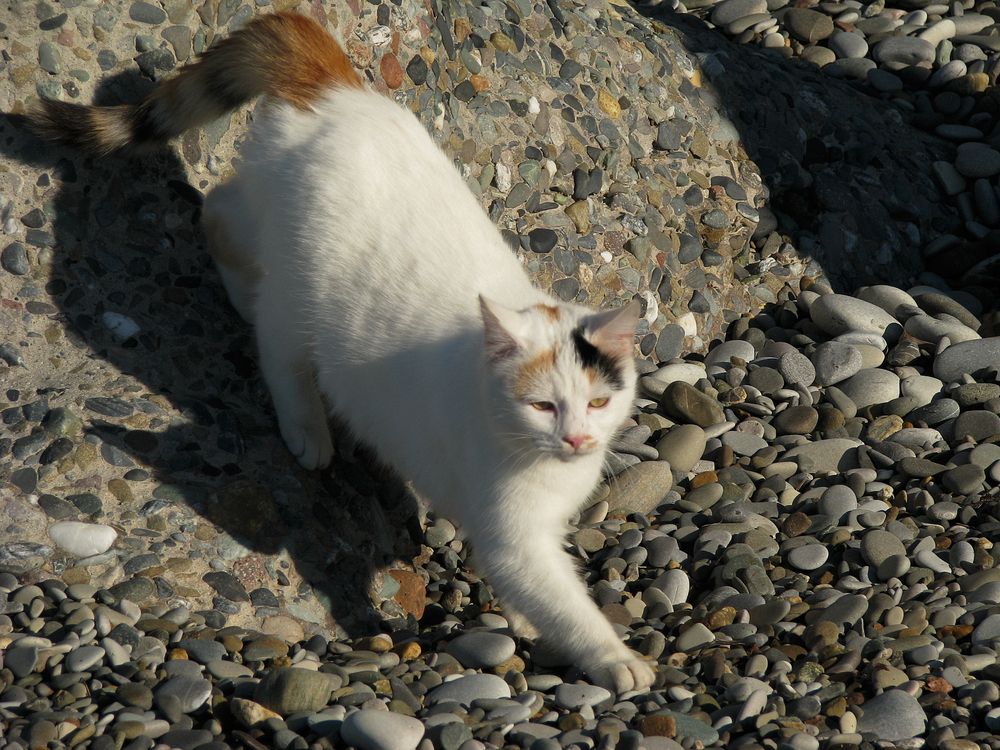 Photograph by Лада Кляузина