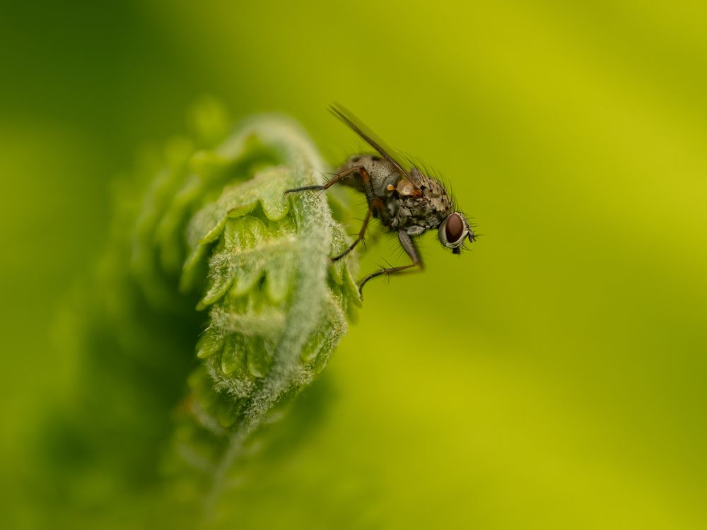 Photograph by Ирина Протченко